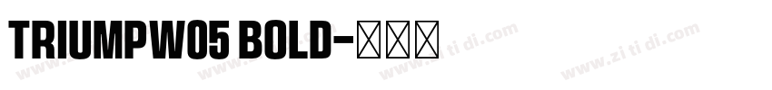 TriumpW05 Bold字体转换